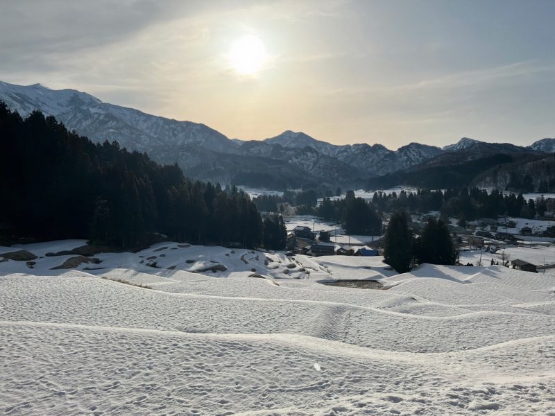 冬の棚田　北五百川